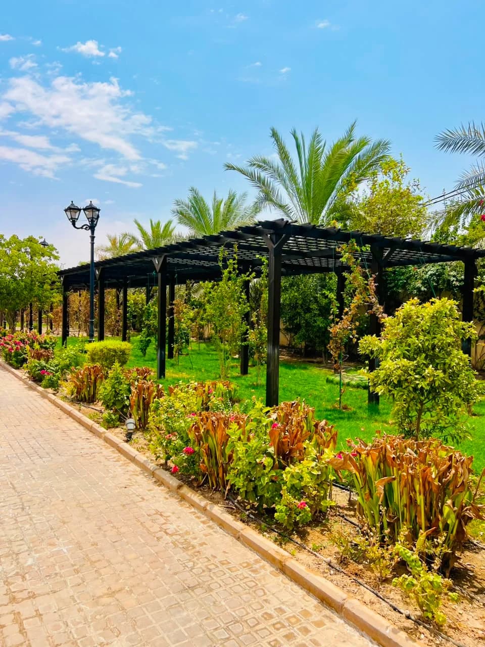 Landscape by Najd Landscape