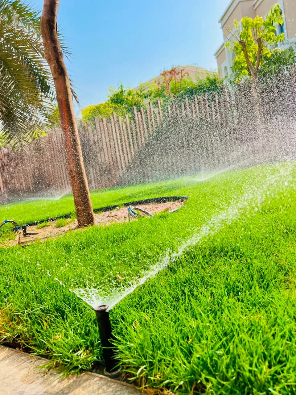 Completed Najd Landscape project detail 10