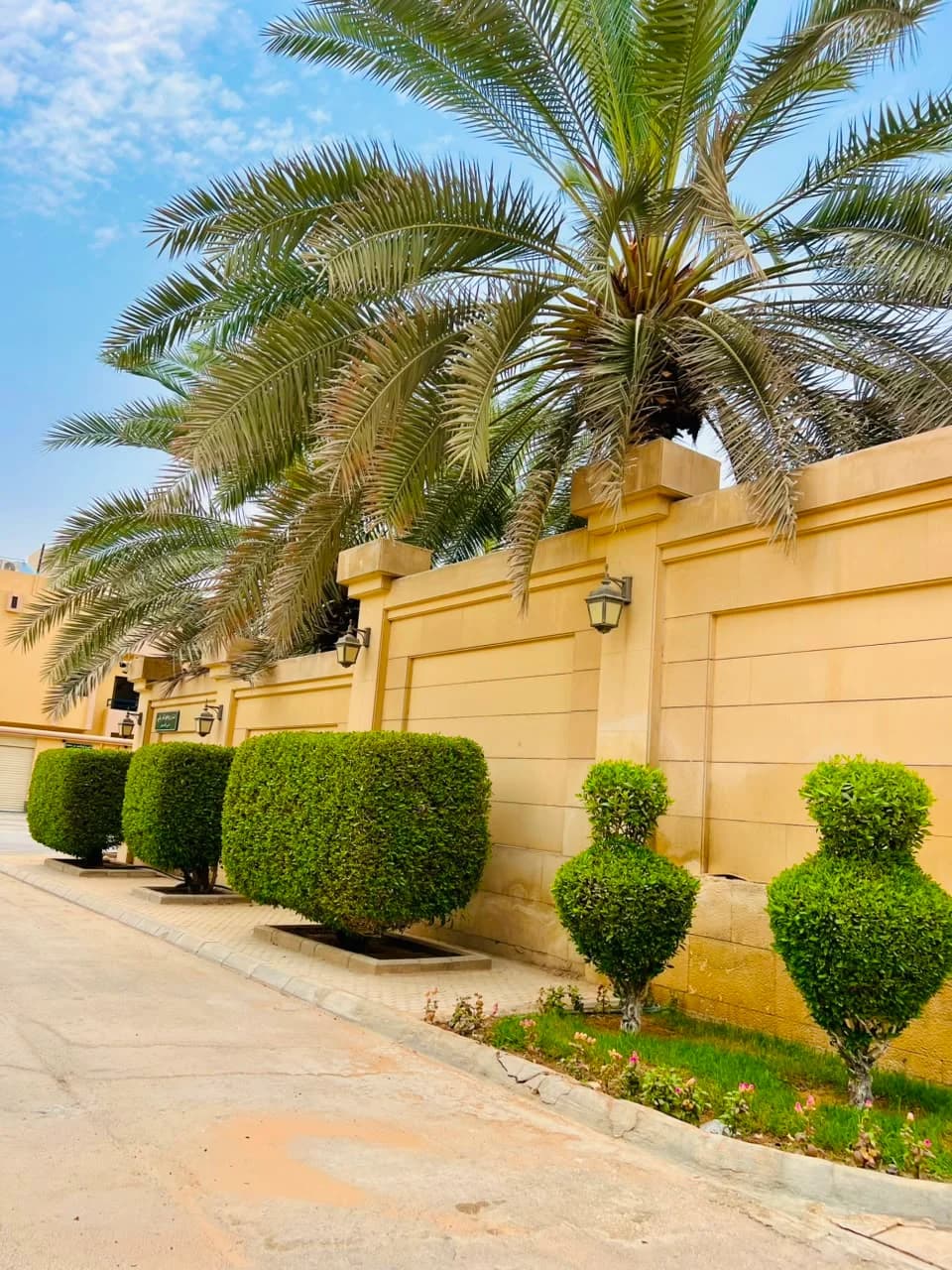 Completed Najd Landscape project detail 11