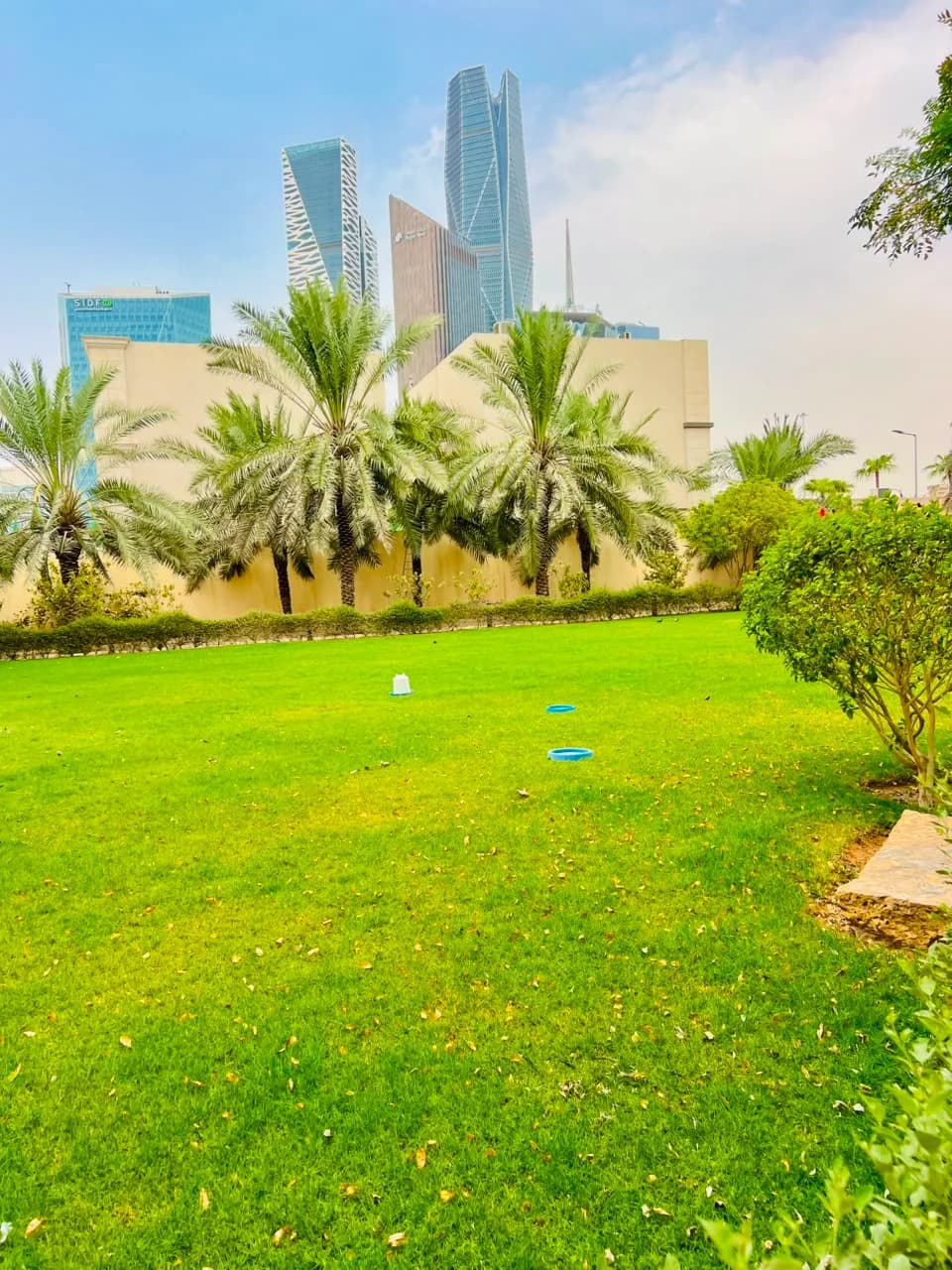 Completed Najd Landscape project detail 5