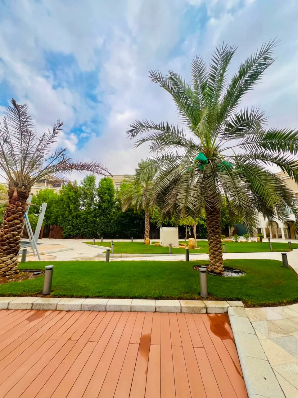 Completed Najd Landscape project detail 10
