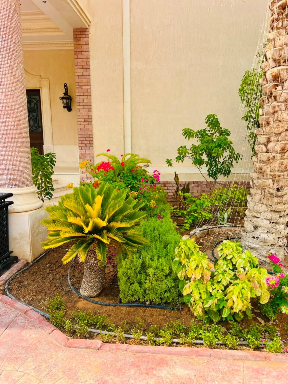 Completed Najd Landscape project detail 12