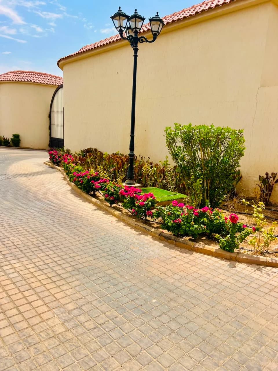Completed Najd Landscape project detail 15