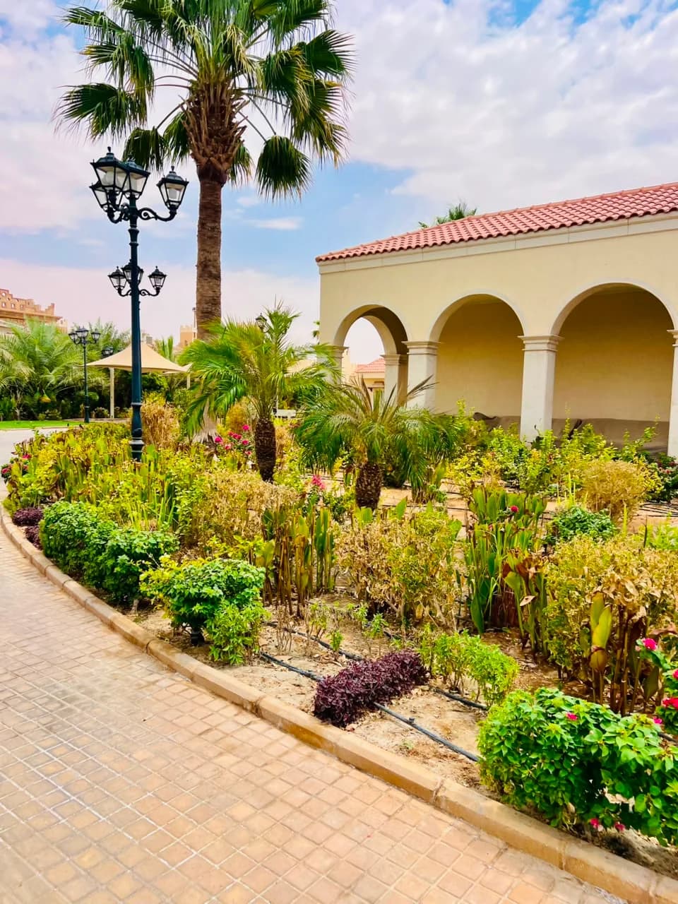 Completed Najd Landscape project detail 25