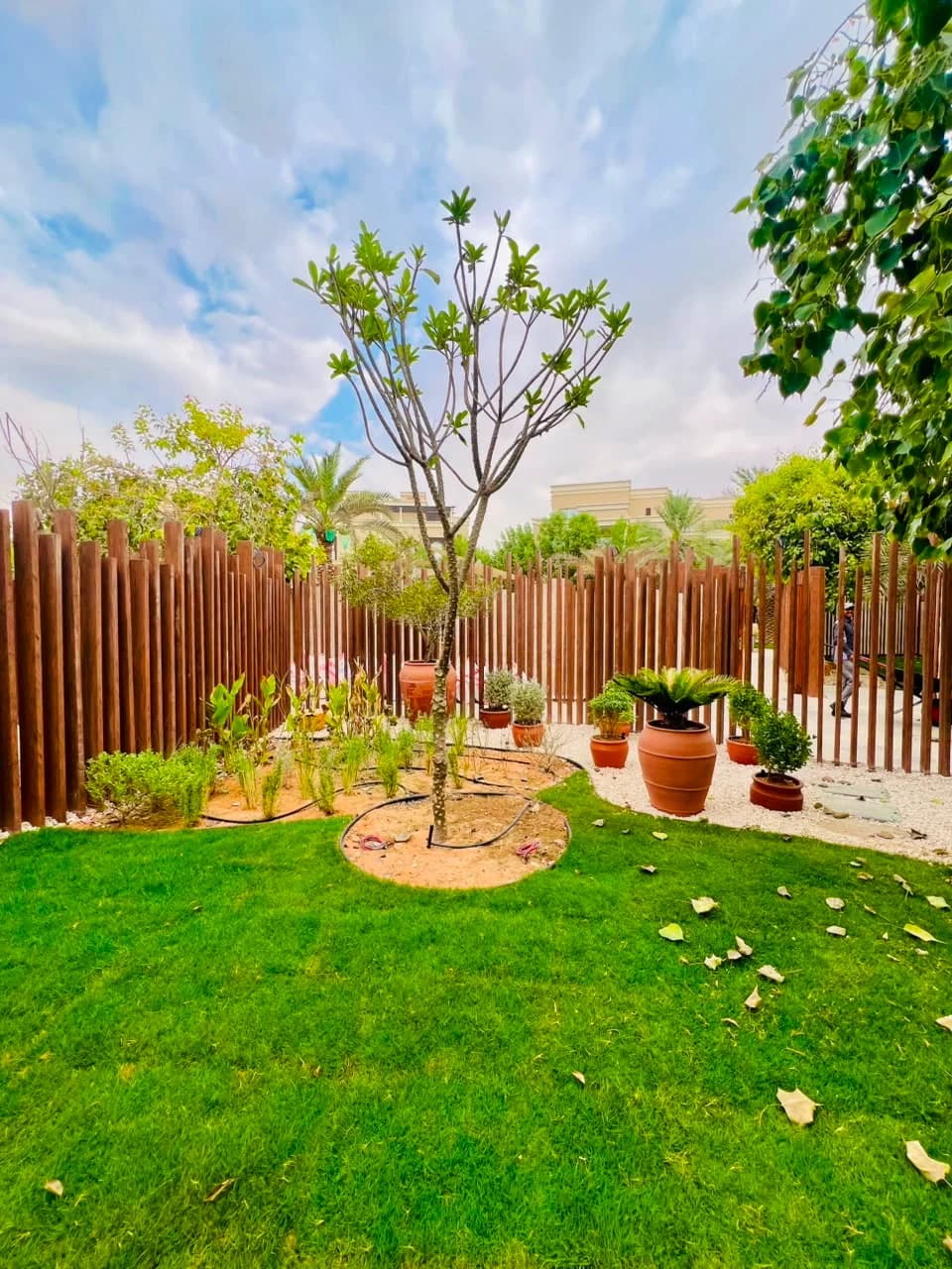 Completed Najd Landscape project detail 7