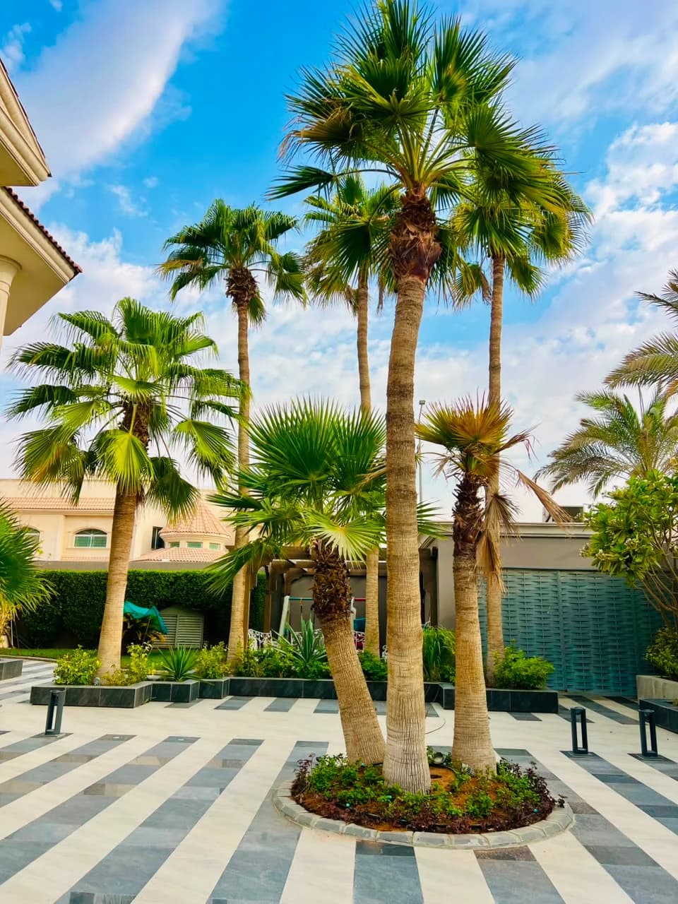 Landscape service detail by Najd Landscape